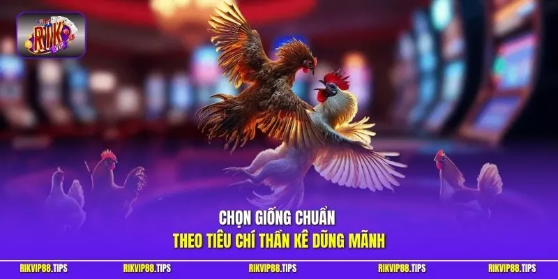 Chọn giống chuẩn theo tiêu chí thần kê dũng mãnh