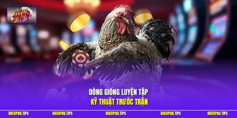 Dòng giống luyện tập kỹ thuật trước trận