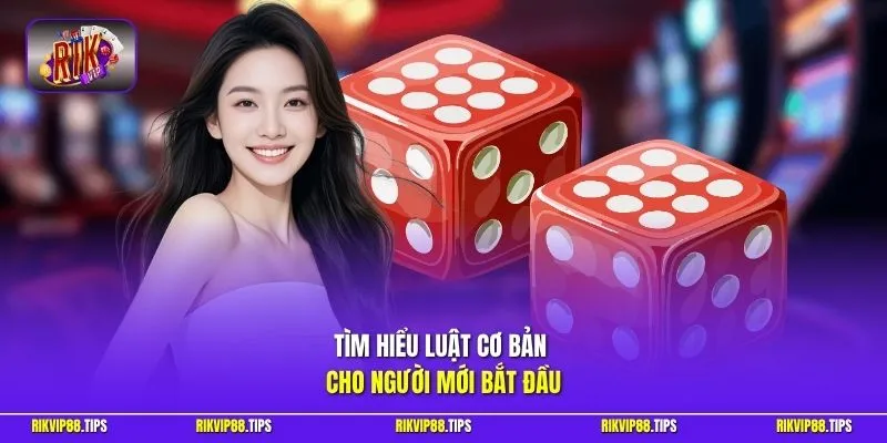 Tìm hiểu luật cơ bản cho người mới bắt đầu